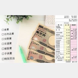 支出の全体像を把握する（Ｃ）日刊ゲンダイ
