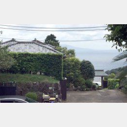 遠くに伊豆大島も見えるロケーション（Ｃ）日刊ゲンダイ