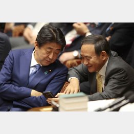 スマホ画面を見てなにやら談笑（Ｃ）日刊ゲンダイ