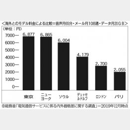 総務省「電気通信サービスに係る内外価格差に関する調査」＝2019年12月時点（Ｃ）日刊ゲンダイ