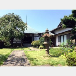 願行寺（Ｃ）日刊ゲンダイ