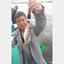 アジを釣り上げる神山さん（Ｃ）日刊ゲンダイ