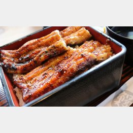 地域共通クーポンを使ってうなぎを食べたい（浜名湖）