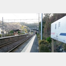伊豆急行線の富戸駅（静岡県伊東市）／（提供写真）