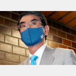 俯瞰的視野に欠ける（河野行革相）／（Ｃ）日刊ゲンダイ