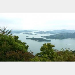 一幅の絵画のよう（Ｃ）日刊ゲンダイ