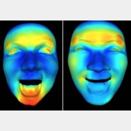 西洋人（左）と東洋人の絶頂顔（提供写真）
