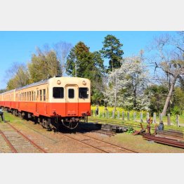 のんびり巡りたい（小湊鉄道）