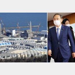 世界が固唾を飲んで見守る「海洋放出」（福島第一原発の汚染水タンク群と菅首相）／（Ｃ）共同通信社