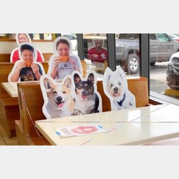 テーブルが寂しくないようにと店主の心意気（著者撮影=以下同）