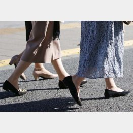 3人組のほのぼの物語（写真はイメージ）／（Ｃ）日刊ゲンダイ