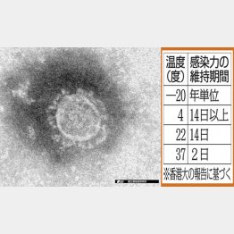 香港大研究チームの報告（右）と新型コロナウイルスの顕微鏡写真（国立感染症研究所提供）