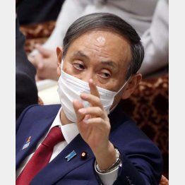 タジタジ答弁（４日の衆院予算委での菅首相）／（Ｃ）日刊ゲンダイ