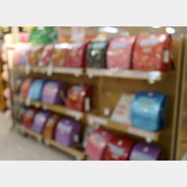 ランドセルを配るのもコロナの対策？（Ｃ）PIXTA