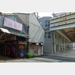 寂しさが際立つ（Ｃ）日刊ゲンダイ