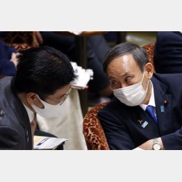 東京五輪開催と「Go To キャンペーン」にひたすらひたすら突き進む（菅首相と加藤官房長官）／（Ｃ）日刊ゲンダイ
