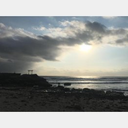 晩秋の伊豆白浜海岸（提供写真）