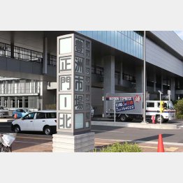 これから年末控え、書き入れ時に…（豊洲市場）／（Ｃ）日刊ゲンダイ