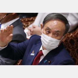 国が知らないわけない（菅首相）／（Ｃ）日刊ゲンダイ