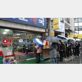 マスクがなければ罰金も（マスクを買い求める人々）／（Ｃ）日刊ゲンダイ