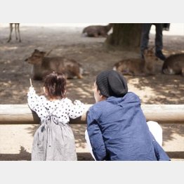 写真はイメージ