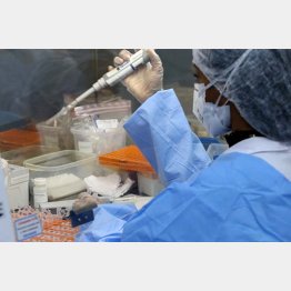 ワクチンはデリケート（Ｃ）ロイター／Latin America News Agency