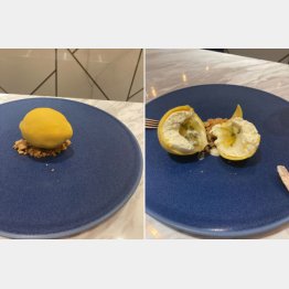 青いお皿は地中海をイメージ（Ｃ）日刊ゲンダイ