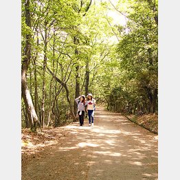 明神山の参道（提供）王寺町
