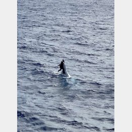 船尾にしがみついて救助を待つスチュワートさん（米沿岸警備隊のフェイスブックから）