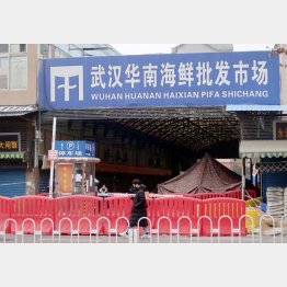 武漢の海鮮市場発じゃない？（Ｃ）共同通信社