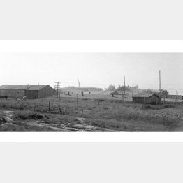 ソ連のハバロフスク収容所（1955年、訪ソ議員団撮影）