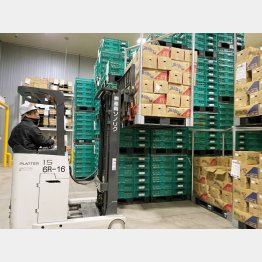 長期保管でも高い鮮度を保ち続ける倉庫（提供写真）