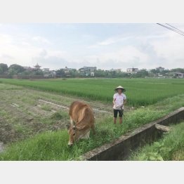 ベトナムの農村風景（撮影）出井康博