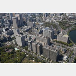 民間は8・55％減だけど…（霞が関の官庁街、右奥は国会議事堂）／（Ｃ）共同通信社