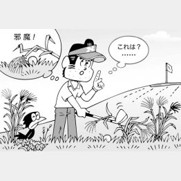 イラスト・小山混