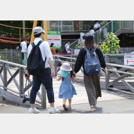 将来のために貯蓄（Ｃ）日刊ゲンダイ