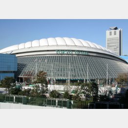 誕生から30年以上（Ｃ）日刊ゲンダイ