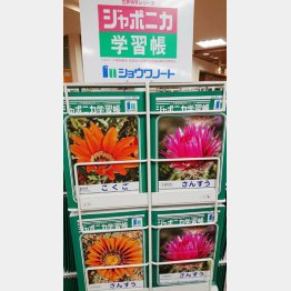 小学生に人気（Ｃ）日刊ゲンダイ