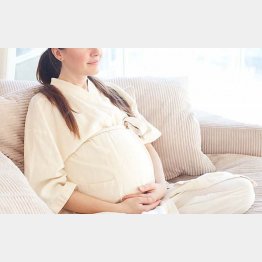 写真はイメージ