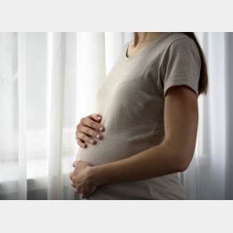 写真はイメージ