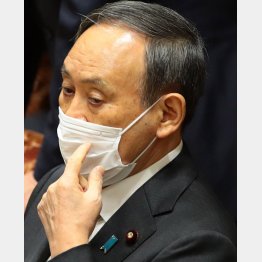 私の戦略的能力は…（Ｃ）日刊ゲンダイ