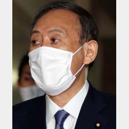 菅首相の国民の好感度は消滅…（Ｃ）日刊ゲンダイ