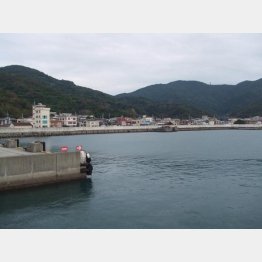 三崎港（提供写真）