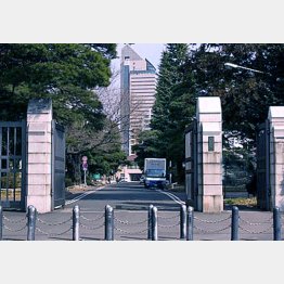 「面倒見が良い大学」第２位の東北大（Ｃ）日刊ゲンダイ