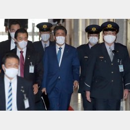 大きな不織布マスクで表情隠し（Ｃ）日刊ゲンダイ