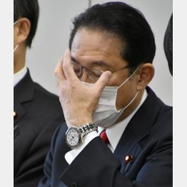 岸田文雄前政調会長は頭を抱えるしかない？（Ｃ）日刊ゲンダイ