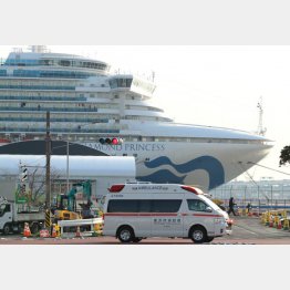 乗客を乗せたまま停泊し続けた「ダイヤモンド・プリンセス」／（Ｃ）日刊ゲンダイ