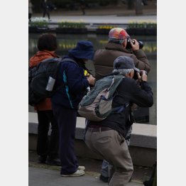 50年に高齢化率は37.7％に。53年には日本の人口がついに1億人を割る（Ｃ）日刊ゲンダイ