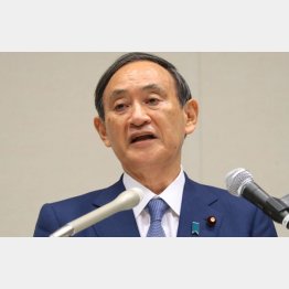 早くもメッキが剥げた（菅首相）／（Ｃ）日刊ゲンダイ
