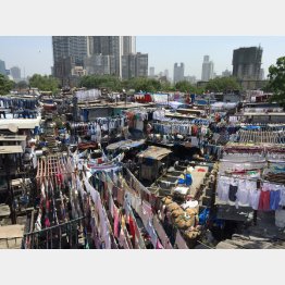 ５億世帯がトイレのない家に暮らしていた（提供）佐藤大介氏